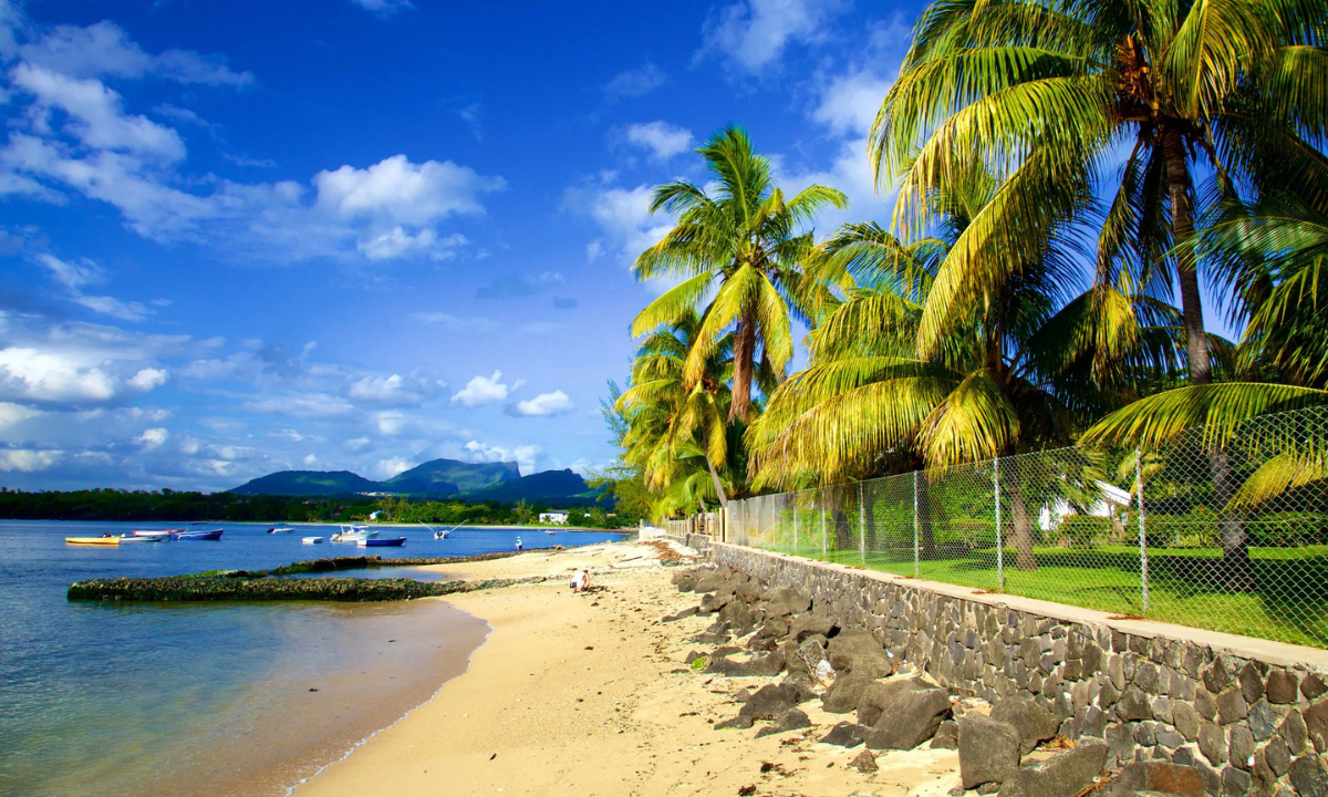 Tamarin Trawling: Exploring Mauritius’ Coastal Gem Through Fishing Adventures